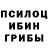 Псилоцибиновые грибы GOLDEN TEACHER svenchik mine