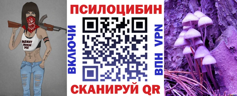 Псилоцибиновые грибы Cubensis  купить закладку  Абинск 