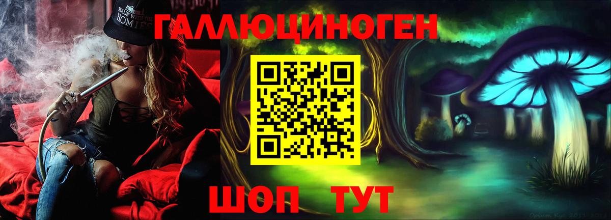 Галлюциногенные грибы Cubensis  Вход с VPN  Абинск  Галлюциногенные грибы Psilocybine cubensis 