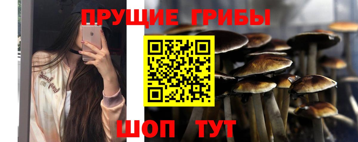 Псилоцибиновые грибы Psilocybe  Псилоцибиновые грибы MAGIC MUSHROOMS  Абинск 